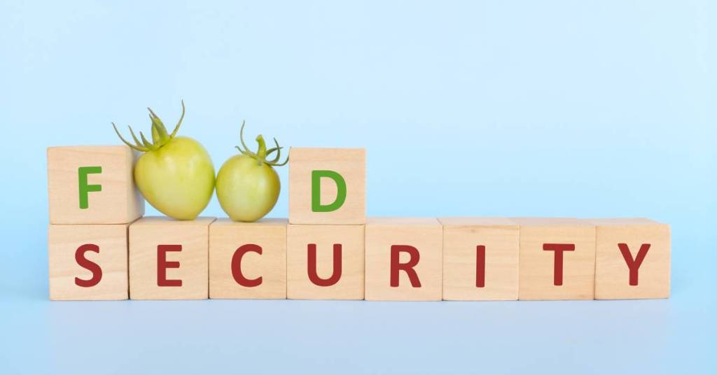 Solving Nigeria’s Food Security Issues: A Call to Action for the Agriculture Sector