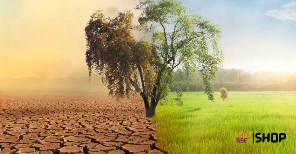 The Impact of Climate Change on Agriculture in Nigeria