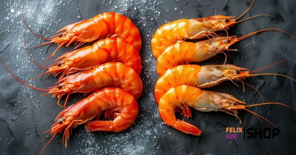 Business Idea for Prawn Shrimp Farming