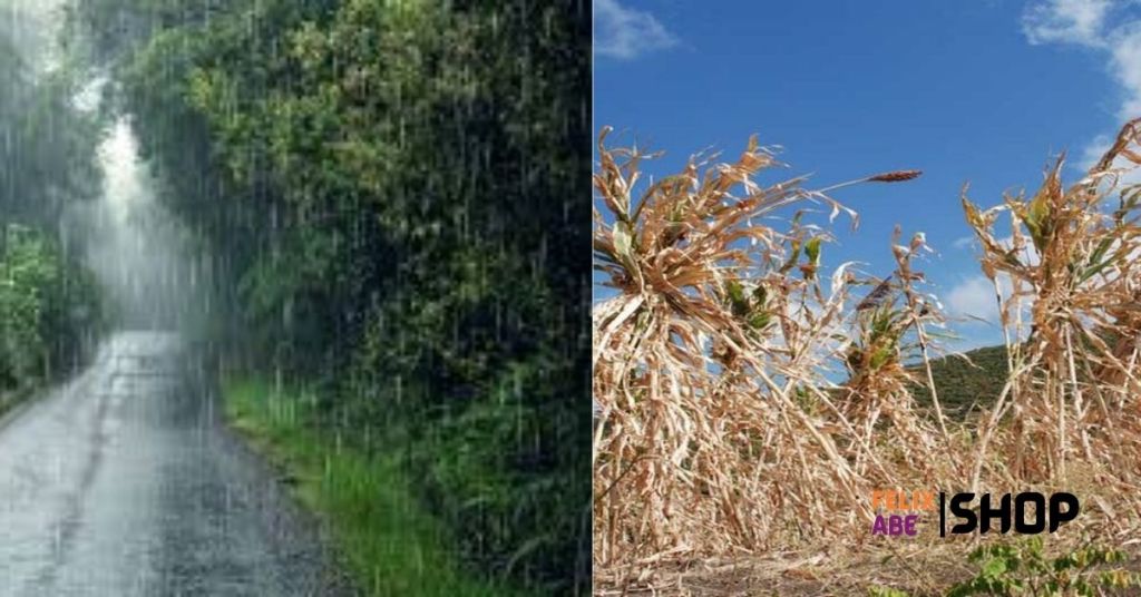 Understanding Agricultural Seasons in Nigeria A Farmer's Guide
