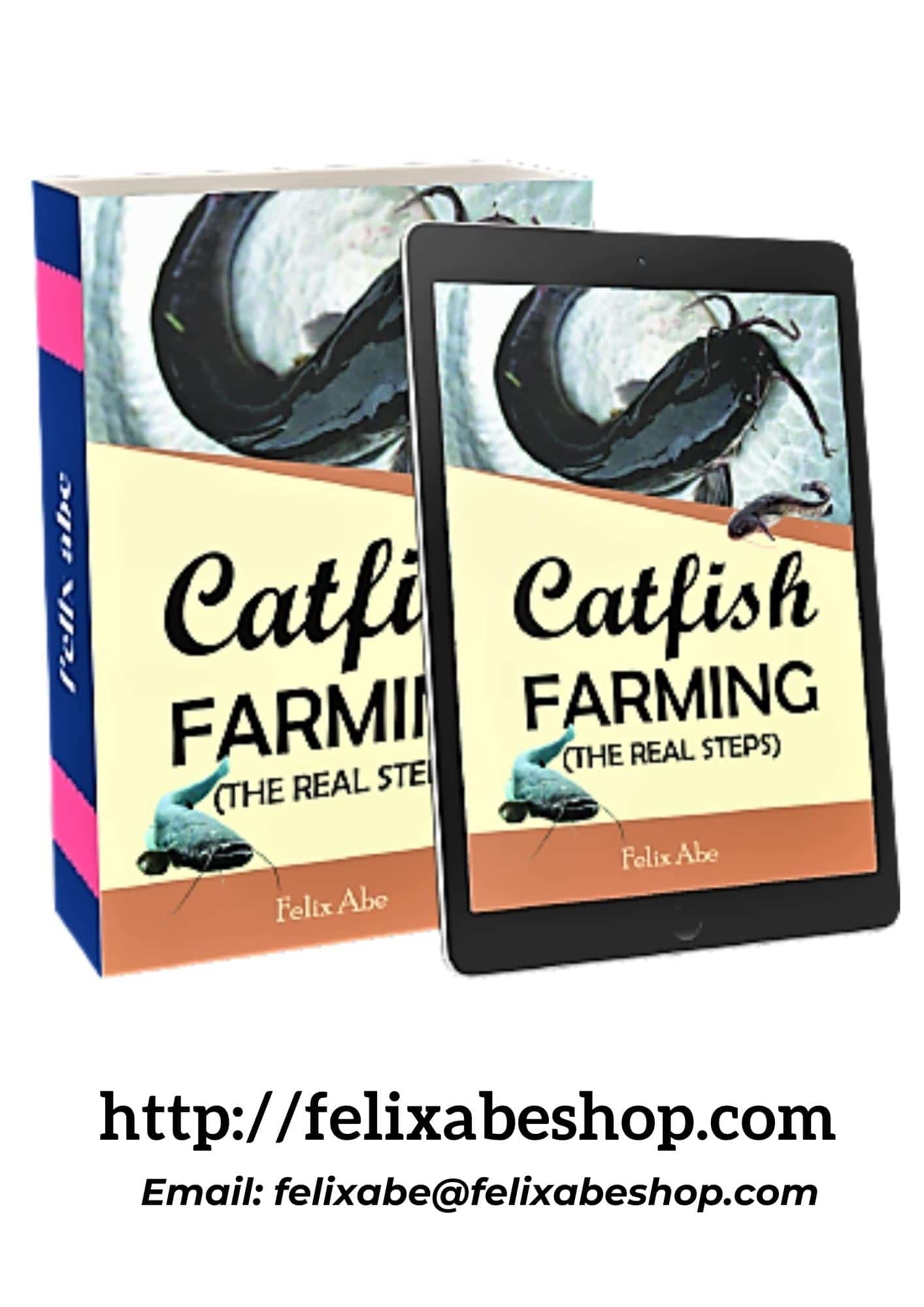Catfish farming guide