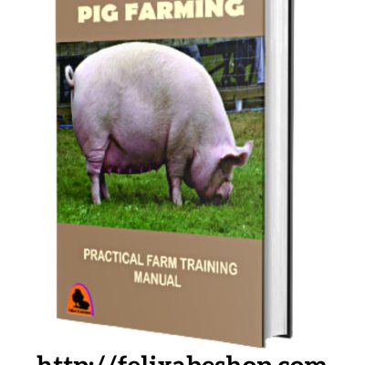 pig farming guide