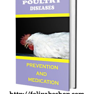 POULTRY DISEASE & MANAGEMENT