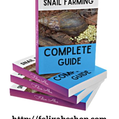 snail farming guide