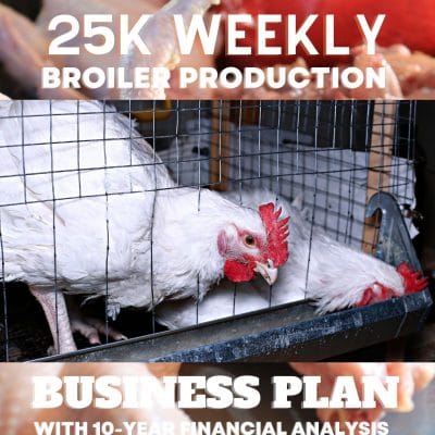25k broiler business plan