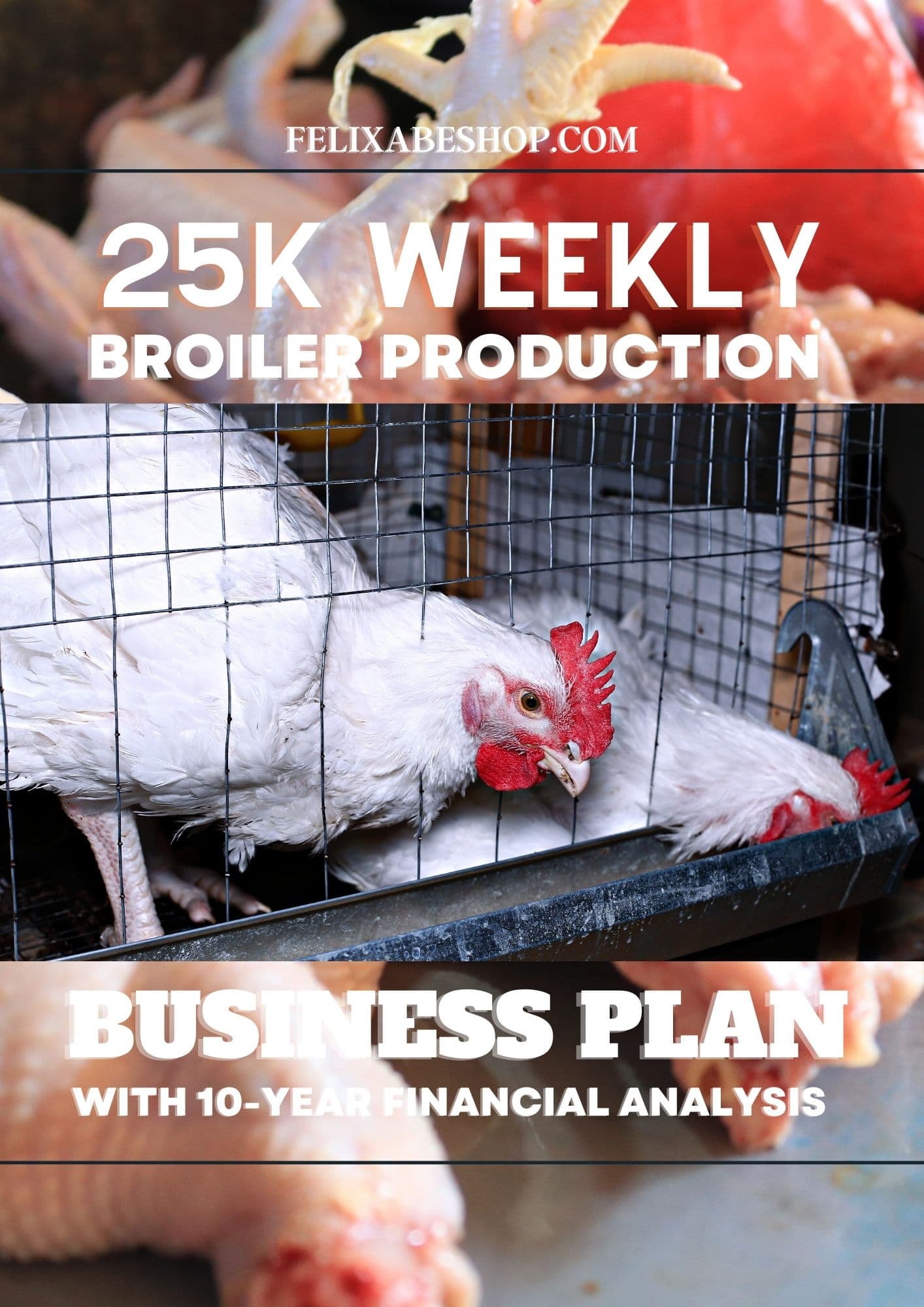 business plan for broilers pdf