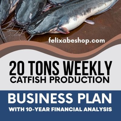 catfish business plan