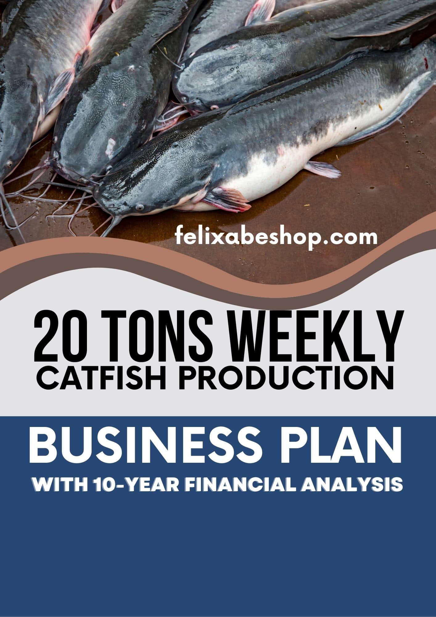 business plan for catfish production