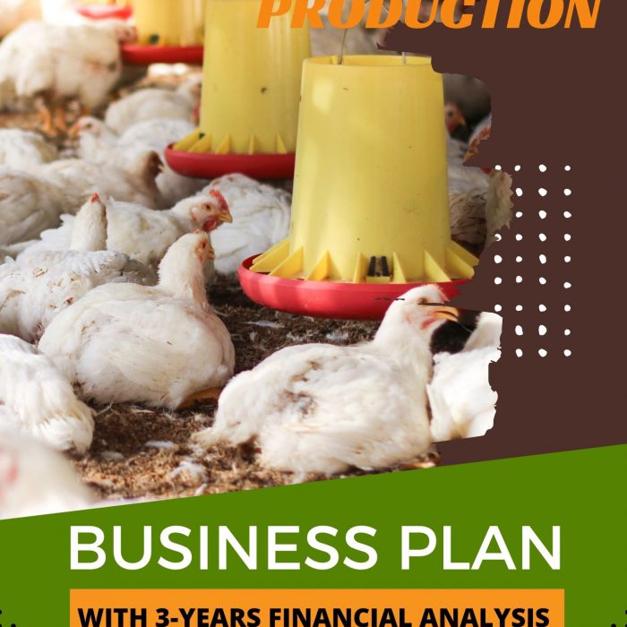 BREAD PRODUCTION BUSINESS PLAN