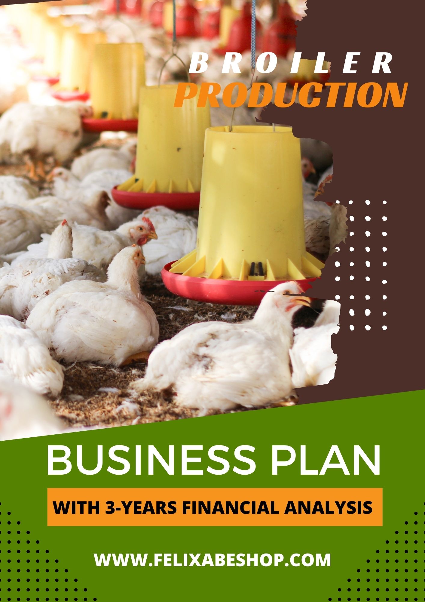 BROILER FARM BUSINESS PLAN FelixAbeShop