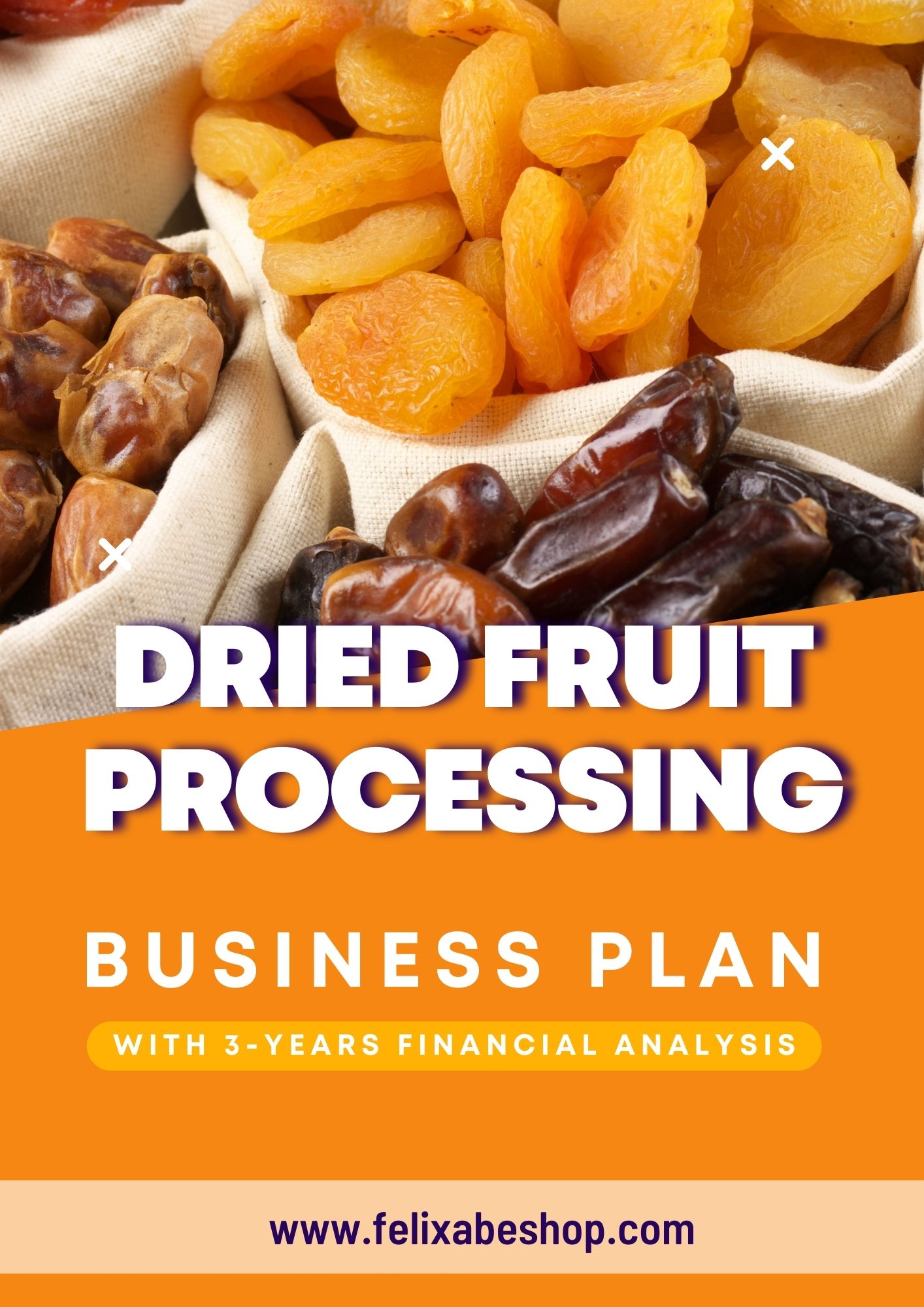 business plan for food processing