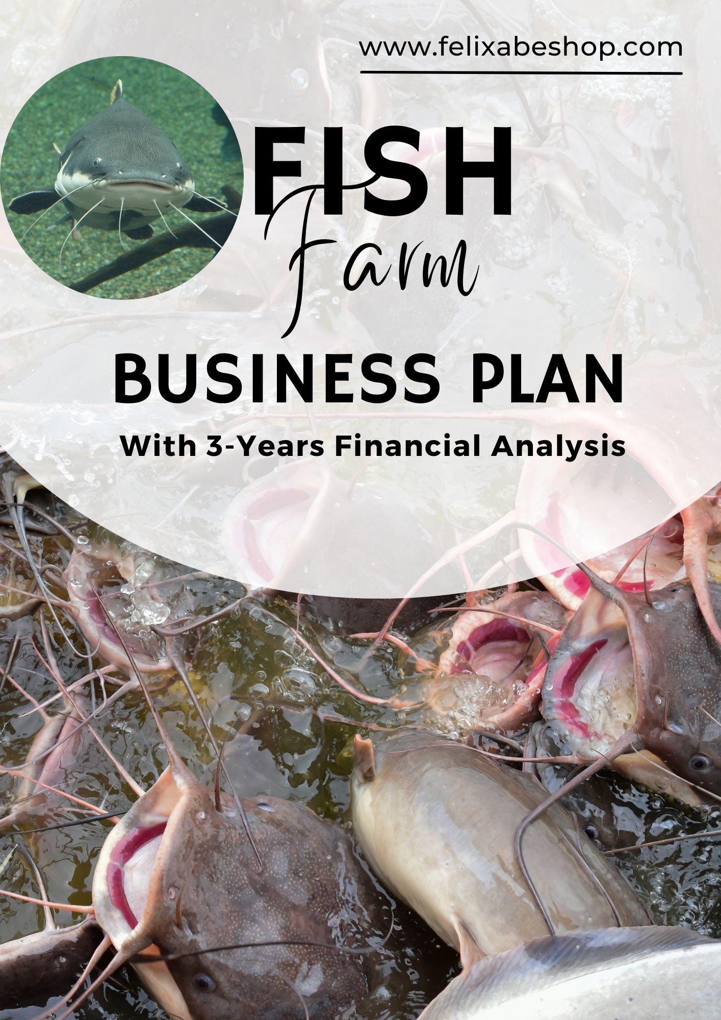 ornamental fish farm business plan