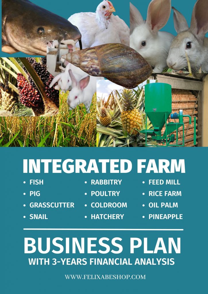 INTEGRATED FARM BUSINESS PLAN FelixAbeShop