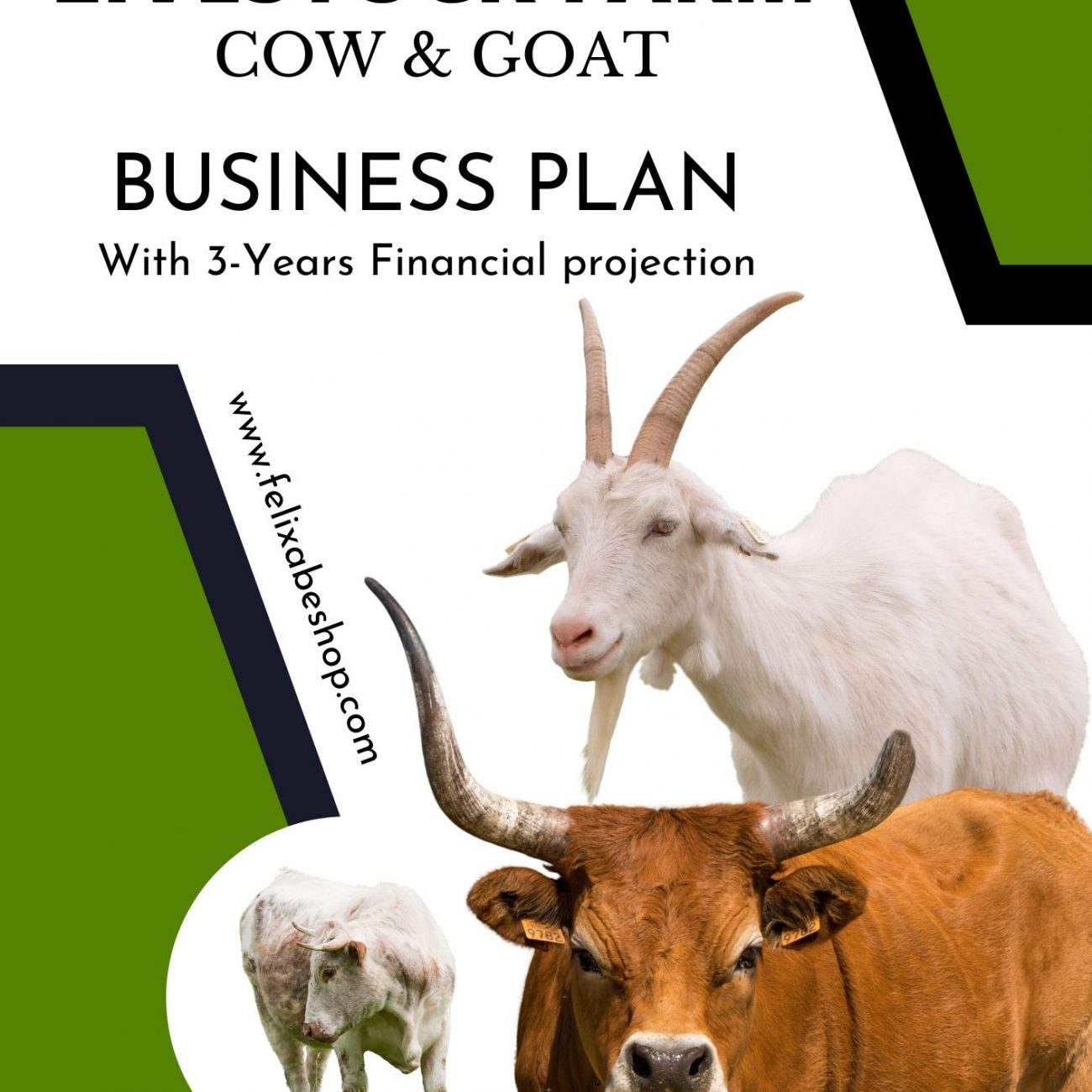 BREAD PRODUCTION BUSINESS PLAN