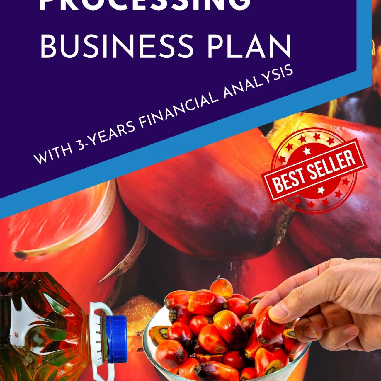 BEANS FLOUR BUSINESS PLAN