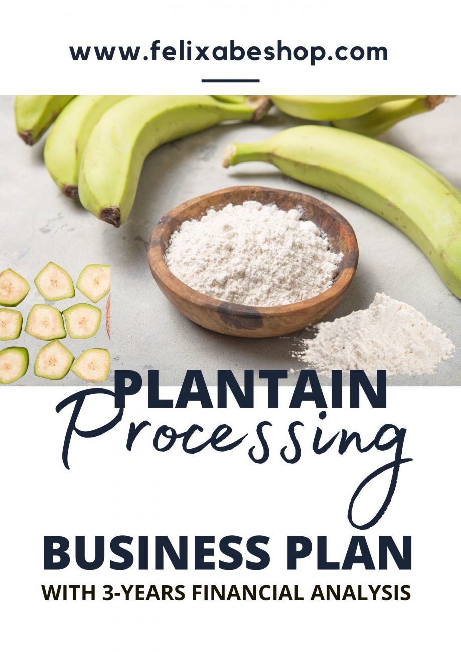 business plan for plantain chips production pdf