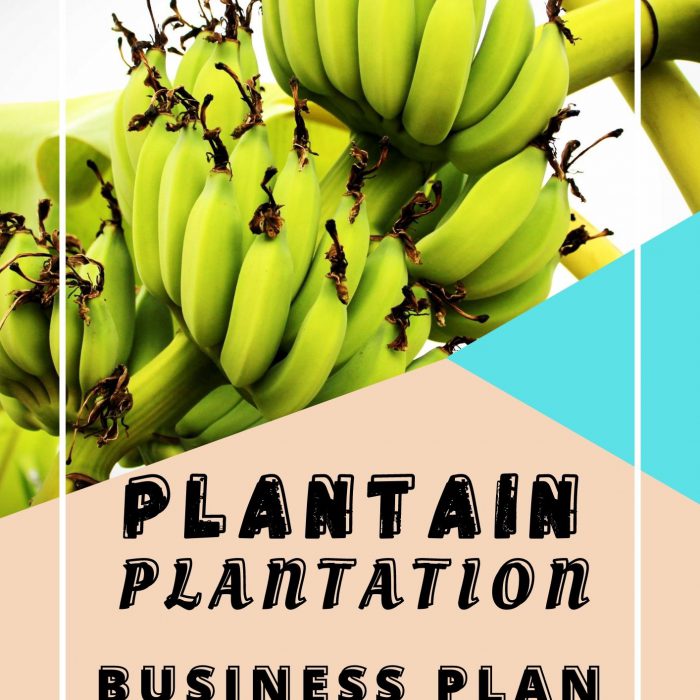 BREAD PRODUCTION BUSINESS PLAN