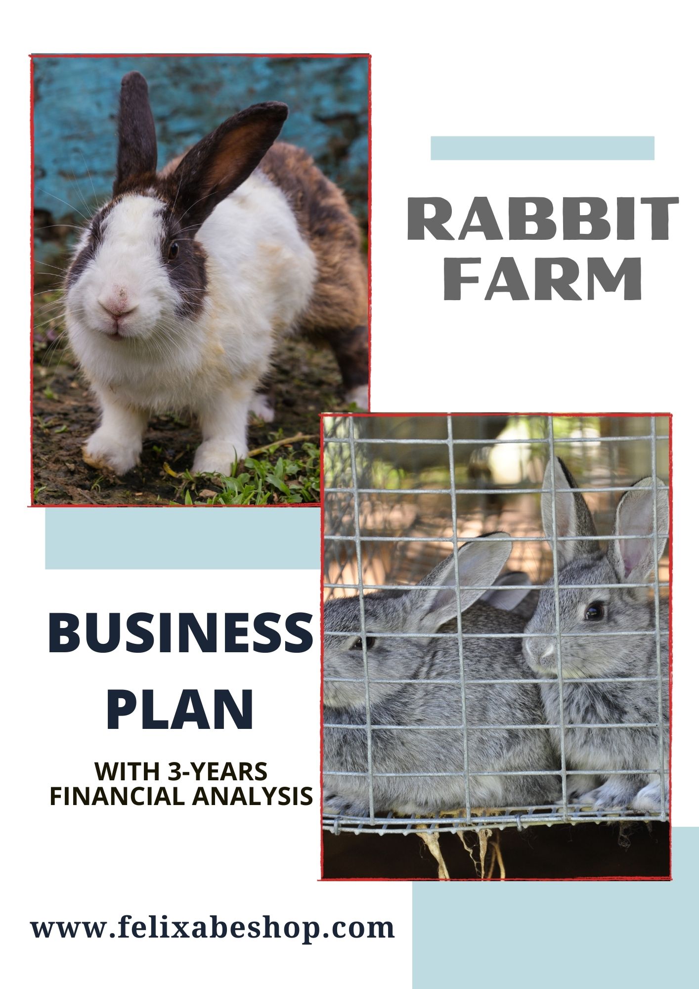rabbit farming business plan example