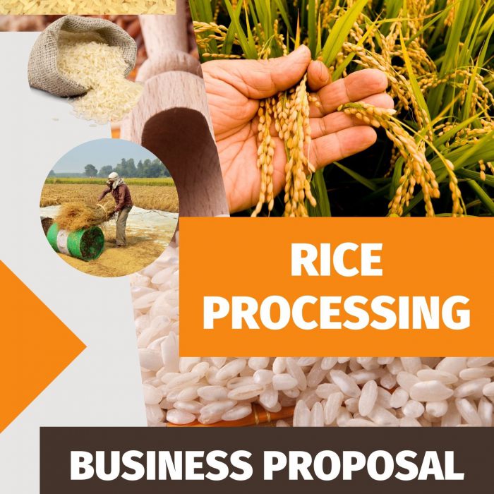 BREAD PRODUCTION BUSINESS PLAN