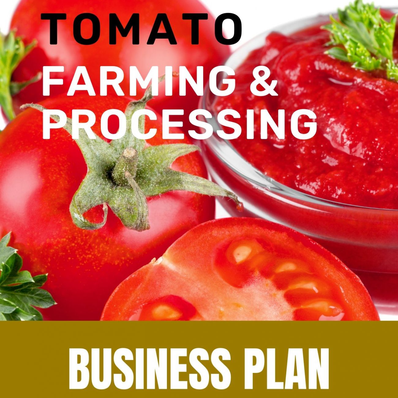 BEANS FLOUR BUSINESS PLAN