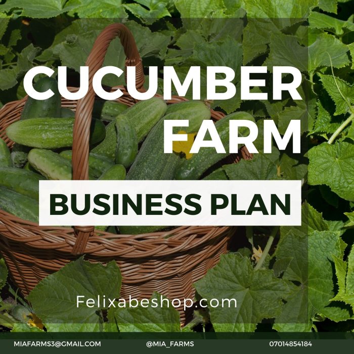 business plan on cucumber production