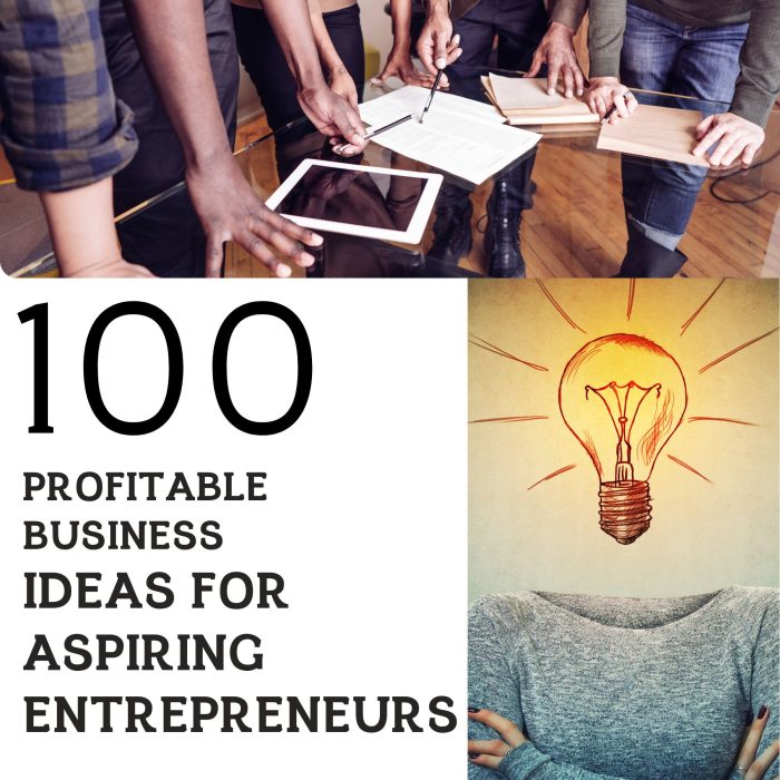 How To Think Of A Good Business Idea 100 BUSINESS IDEAS FOR ASPIRING ENTREPRENEURS - FelixAbeShop