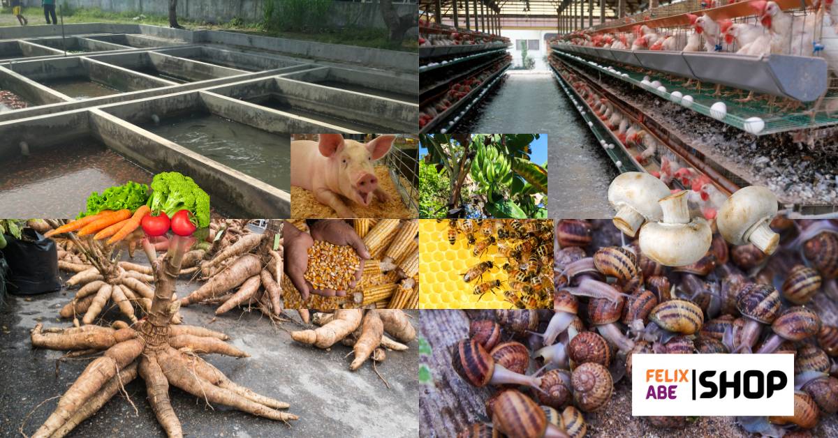 10 Profitable Farming Businesses In Nigeria You Can Start Today