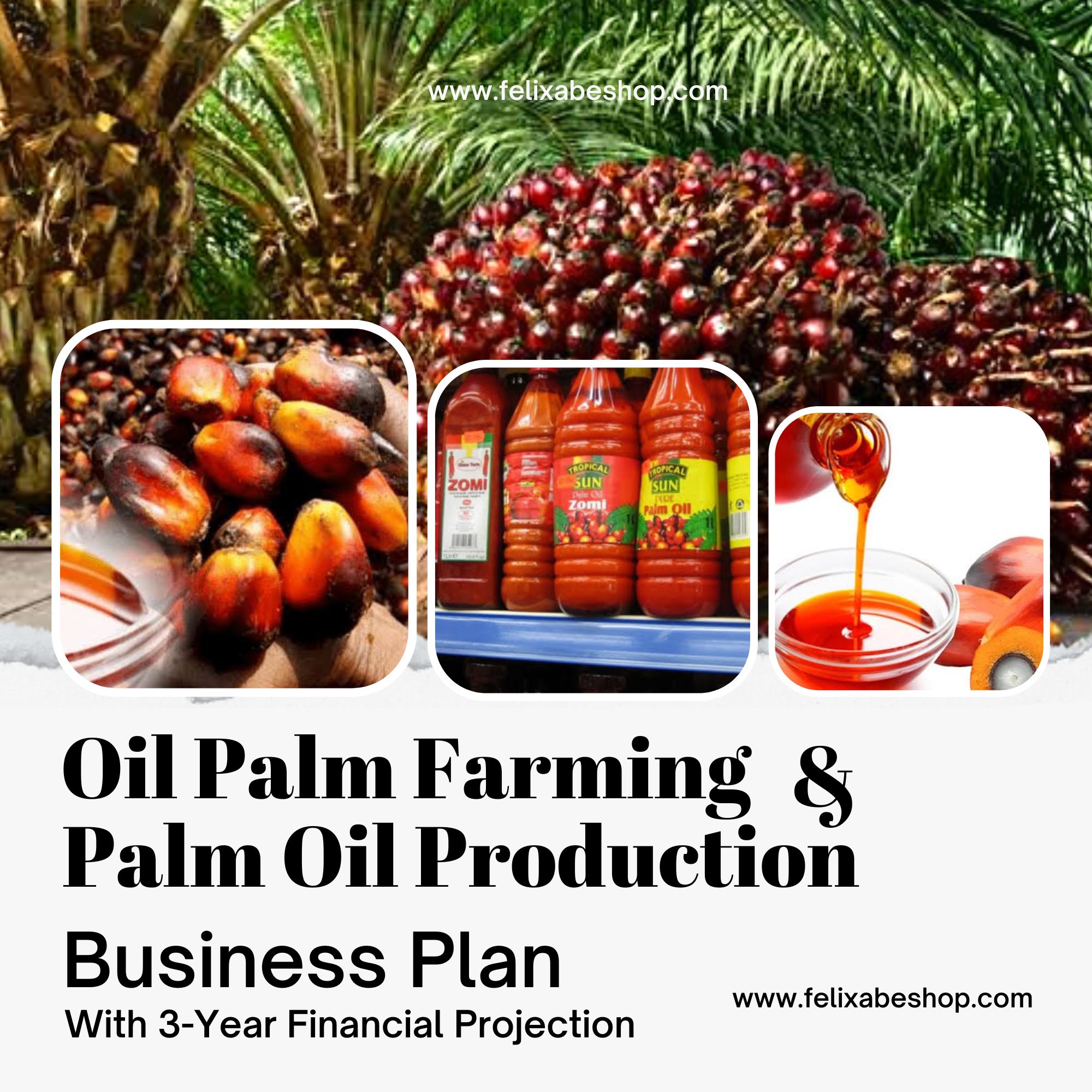 OIL PALM FARMING & PALM OIL PRODUCTION BUSINESS PLAN