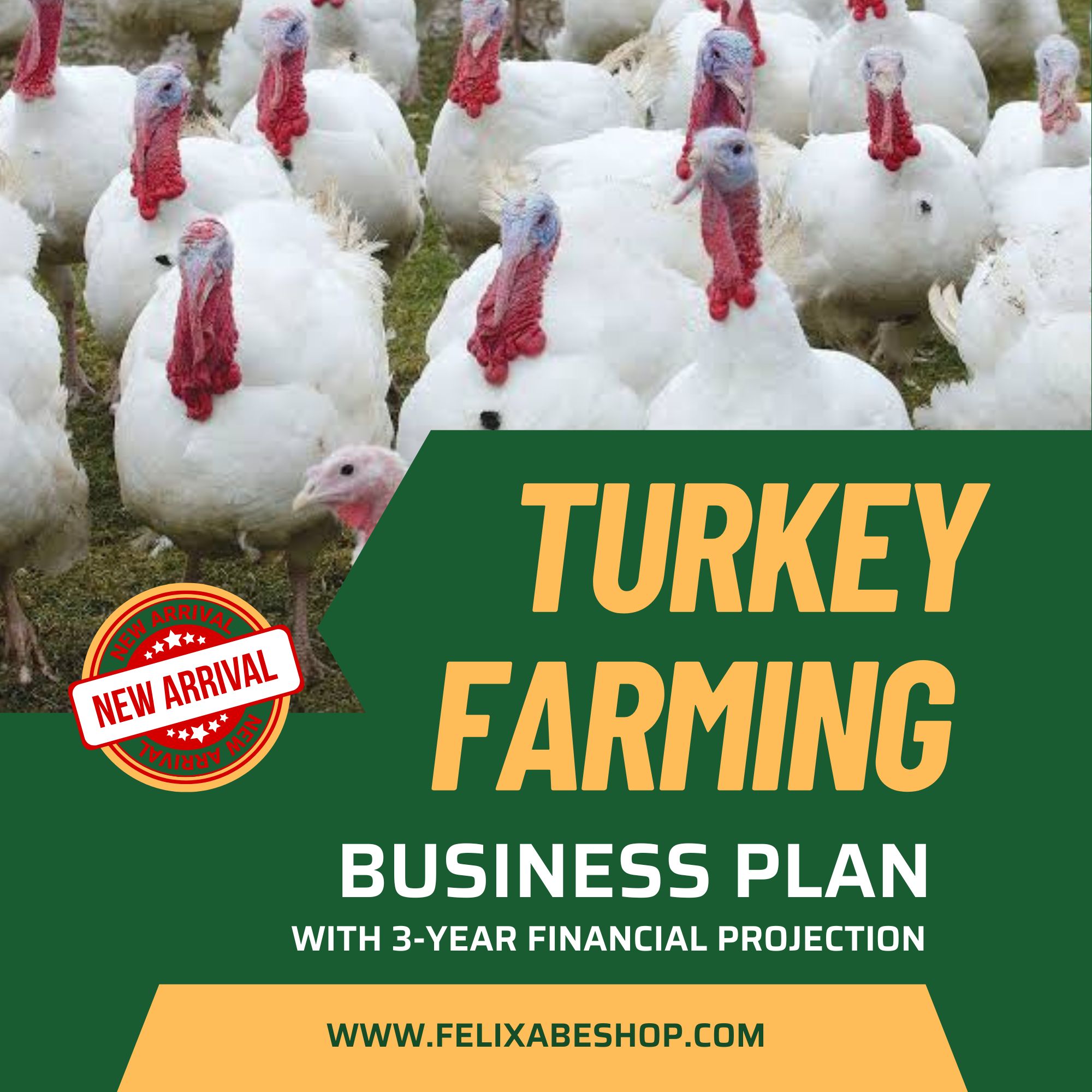 turkey production business plan