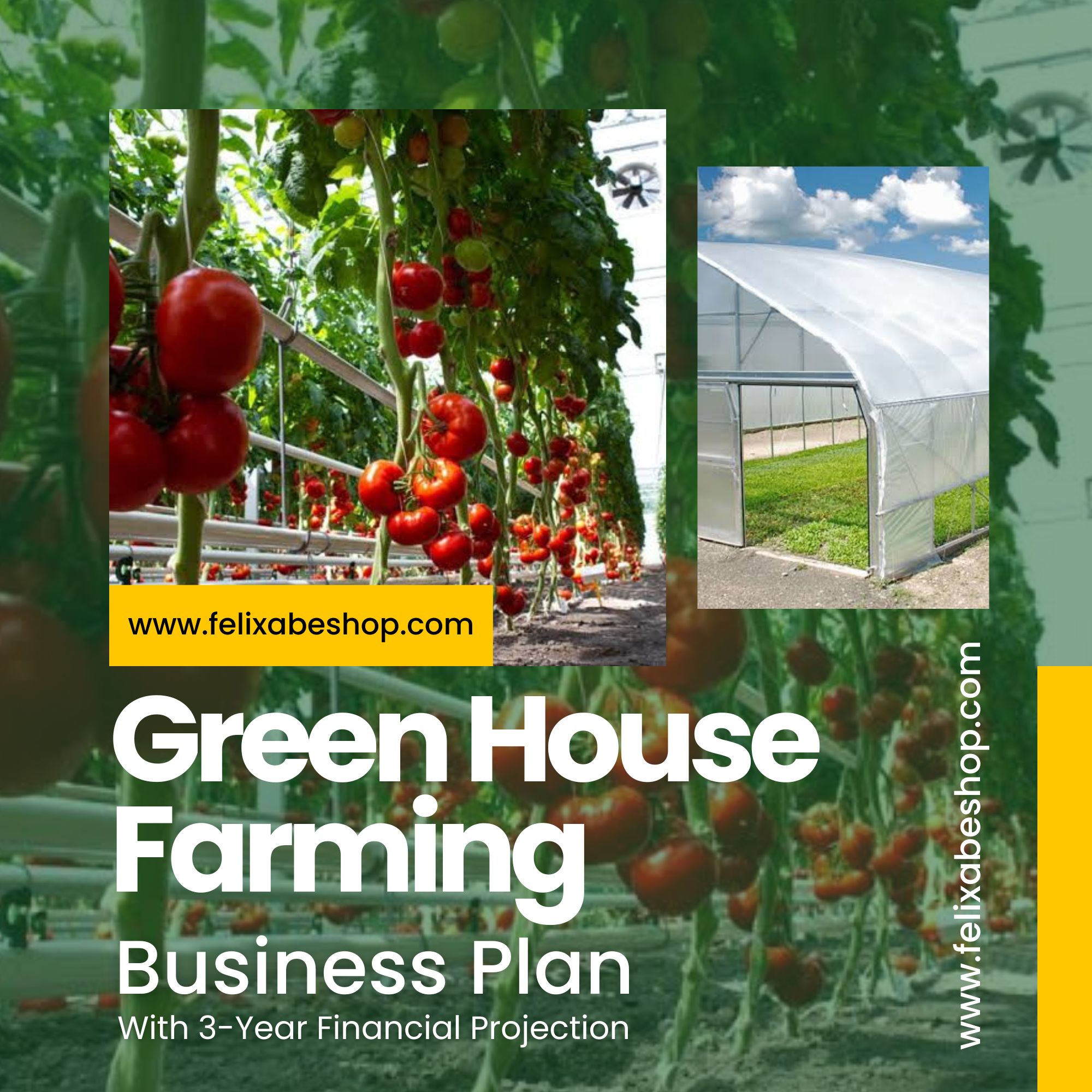 green house farming business plan