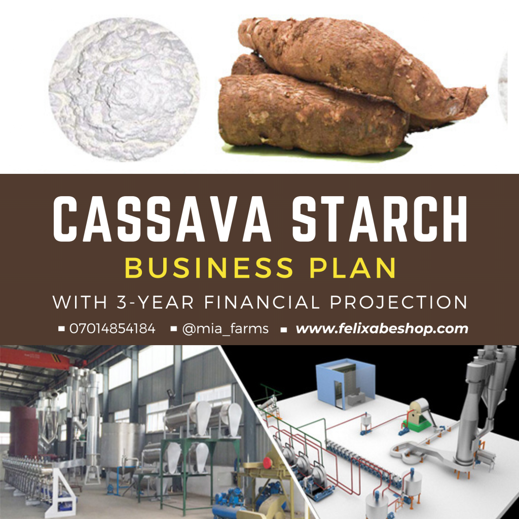 business plan for cassava cake