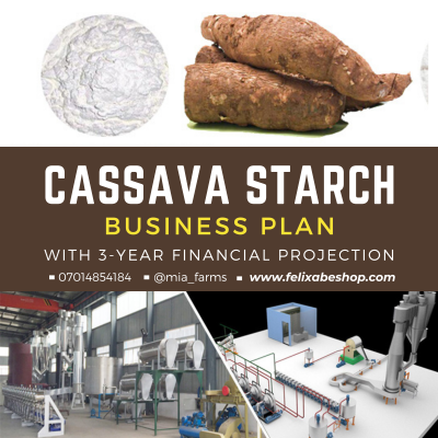 cassava starch business plan