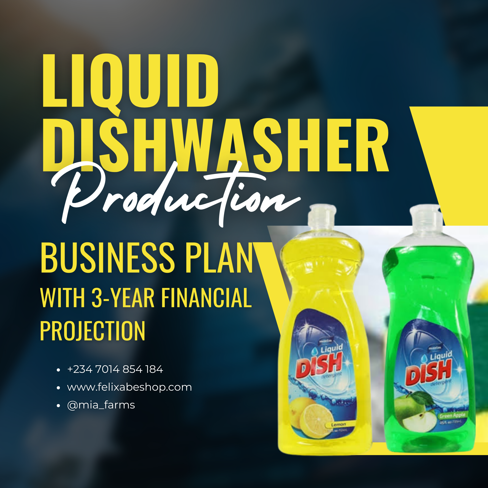 liquid soap, liquid dishwasher business plan