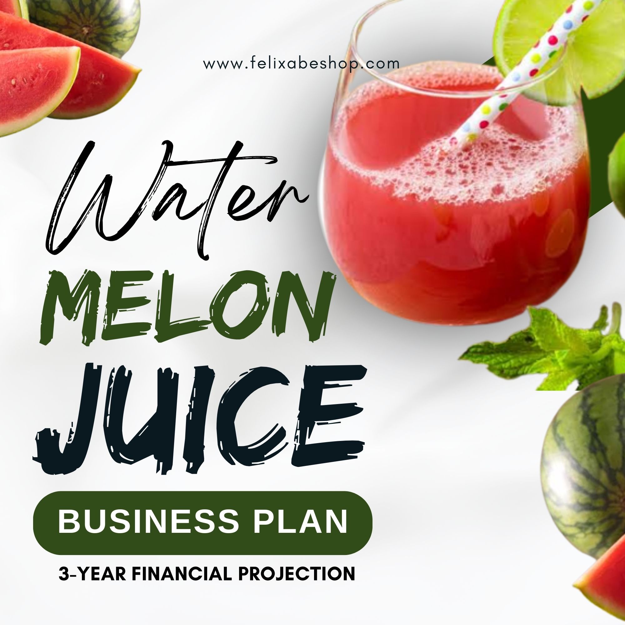 watermelon juice business plan