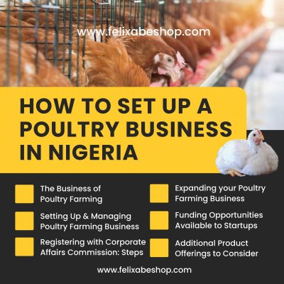 How to Sep up a Poultry Business in Nigeria