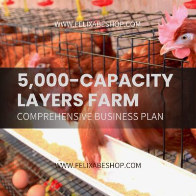 5,000-CAPACITY LAYERS FARM BUSINESS PLAN