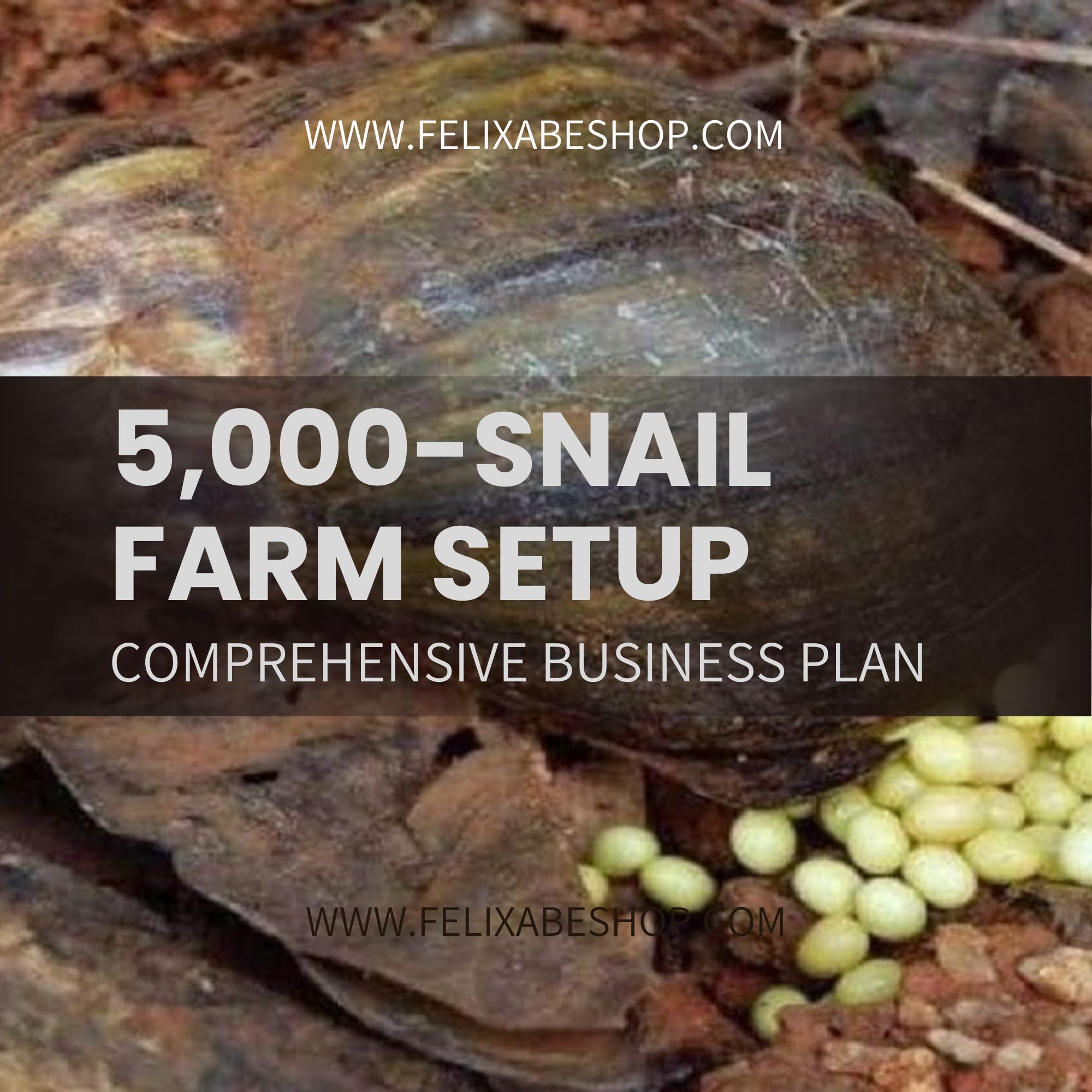 5,000-SNAIL FARM BUSINESS PLAN