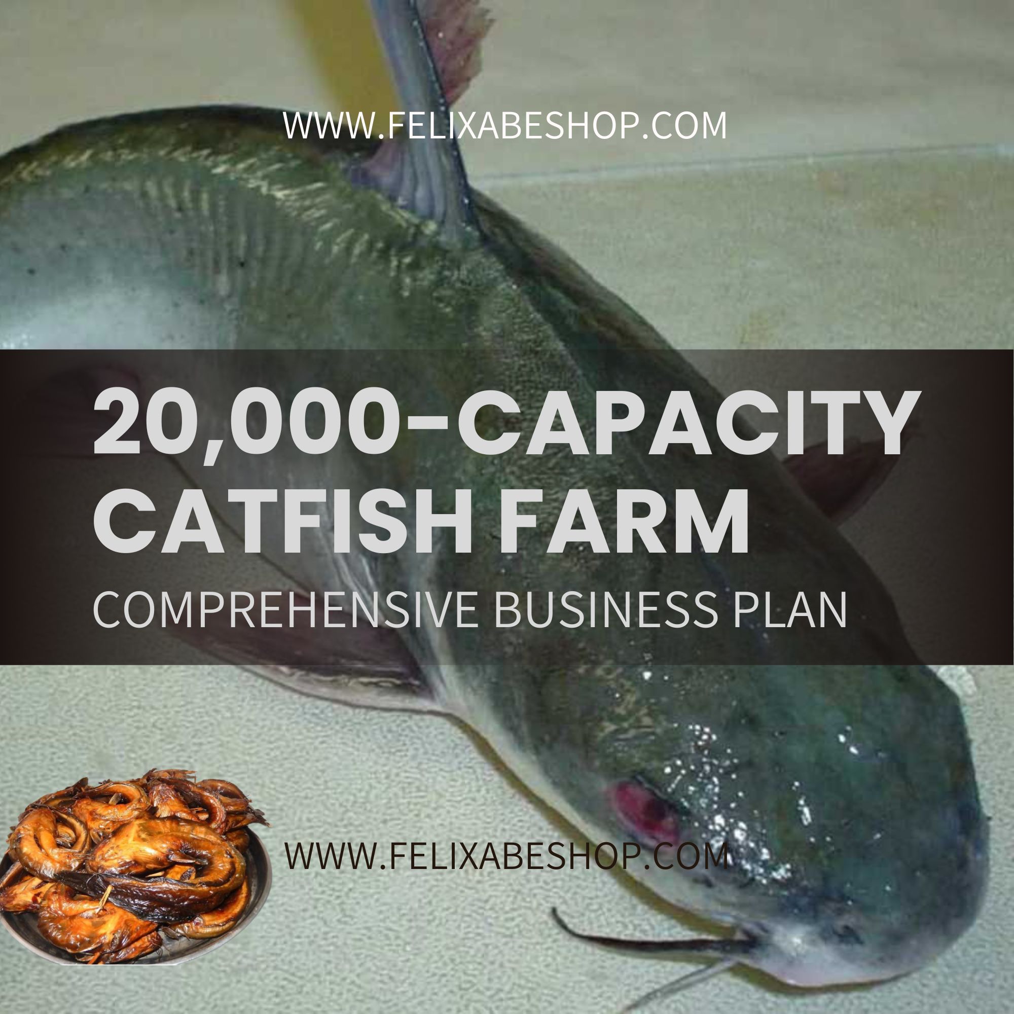 20,000 Capacity Fish Farm