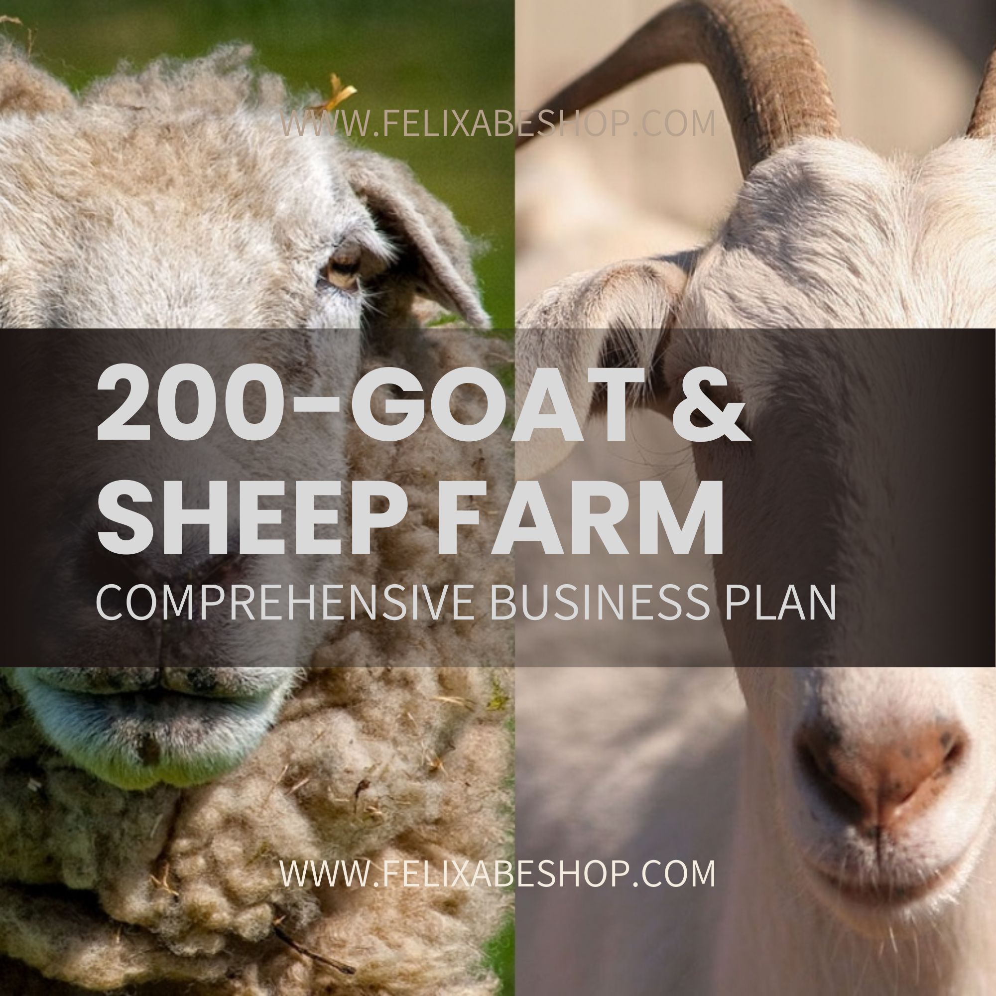 Goat and sheep farming business plan in Nigeria and Africa