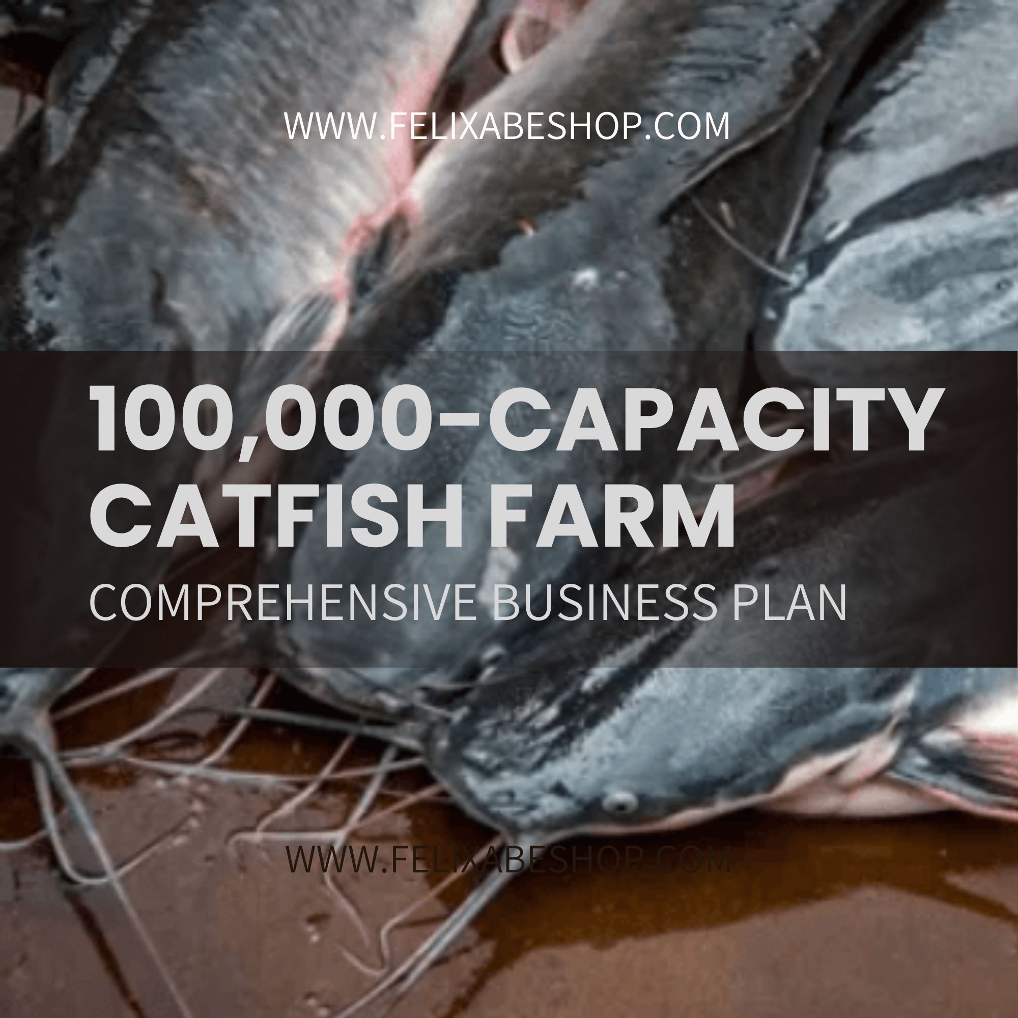 100,000-CAPACITY CATFISH FARM BUSINESS PLAN