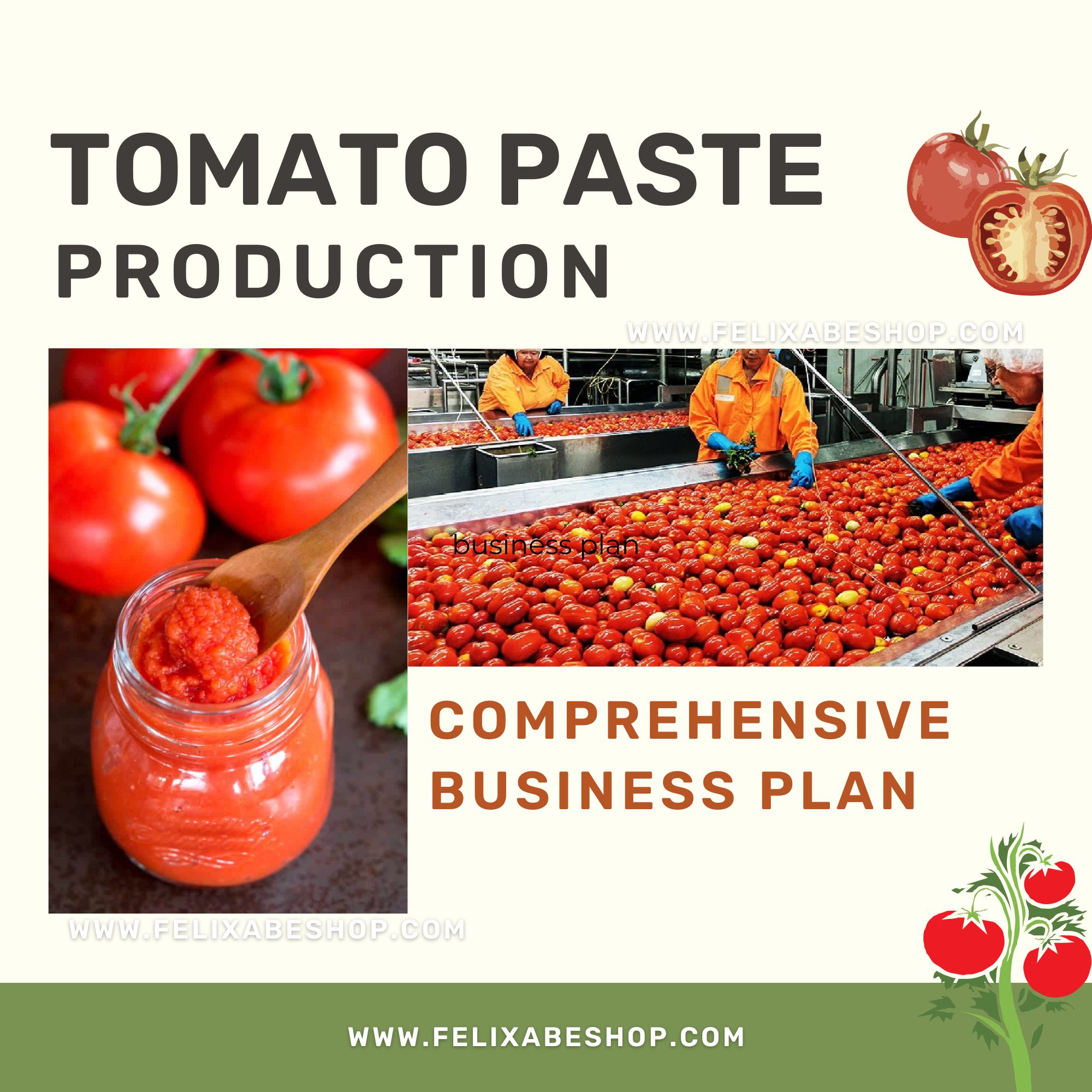 tomato paste production in Nigeria and Africa