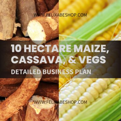 MAIZE, CASSAVA, & VEGETABLES BUSINESS PLAN